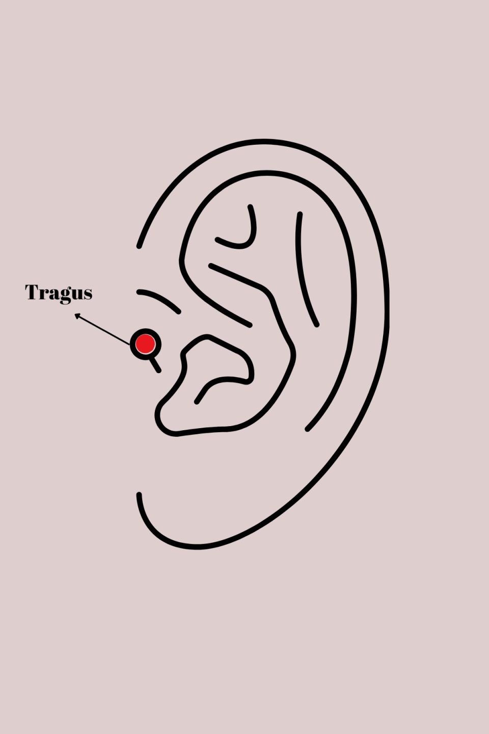 Shekka 316L Çelik Gümüş Renk Zirkon Taşlı Çiçek Model Tragus Piercing — görsel 2